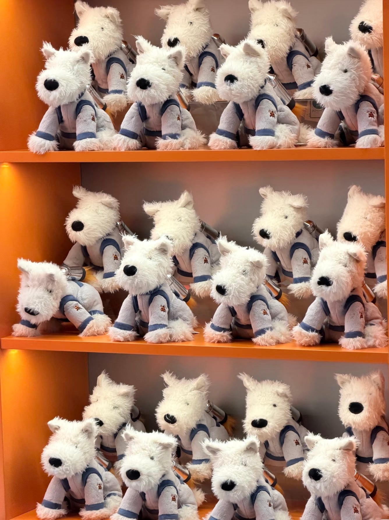 Jellycat太空系列